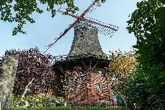 Handorf Galeriehollaendermuehle 01