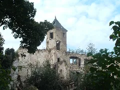 Harbke Forst Schlossruine Panoramio