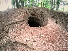 Hardenbergischer Alaunsteinbruch „Alaunloch“ 05