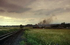 Hartz Steam 1991 40