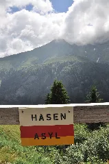 Hasenasyl (4809912006)