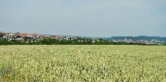 Haslach Panoramio (1)
