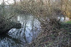 Hasselbachmündung (Kinzig)