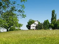 Haus Am Greifensee02