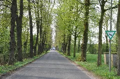 Haus Traar 2009 Lindenalle