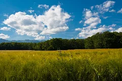 Heading Home Through Farms Panoramio