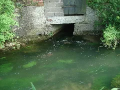 Hederquelle