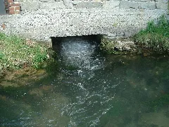 Hederquelle1