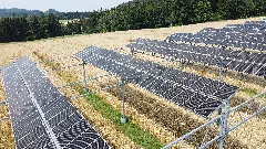 Heggelbach (Oberndorf) Agro Photovoltaic Power Station Heggelbach 05Asd