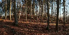 Heidenburg (Ippingen) 2418 2419 Panorama