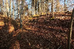 Heidenburg (Ippingen) 2424