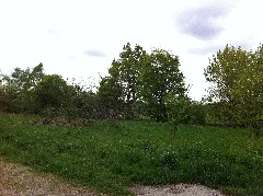 Heidewald 07