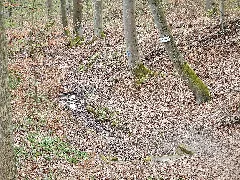 Heilbrunnen Bei Kusterdingen Am Hw5 (Schwarzwald – Schwäbische Alb – Allgäuweg) Panoramio