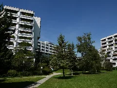 Heinz Nittel Hof 3