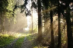 Herbst 01