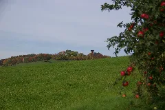 Herbst 09 1 Blick Zum Juxkopf Panoramio