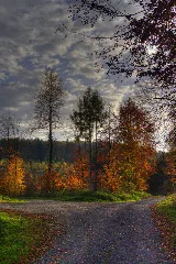 Herbst Beim Roten Brunnen Geo.hlipp.de 13