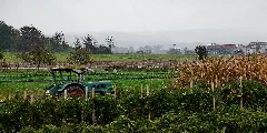 Herbst Panoramio (10)