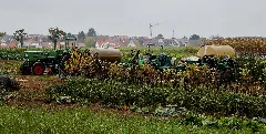 Herbst Panoramio (11)