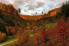 Herbstabend Bei Bergach (Evening During Fall Near Bergach) Geo.hlipp.de 6096
