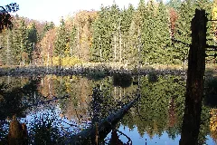 Herbstschimmer