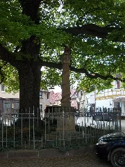 Heringenh Denkm1864 71