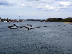 Heringszaun Kappeln2008