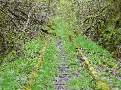 Hermann Hesse Bahn, S Bahn Fertigstellung Spätestens 2019 Geplant Ehemalig Württembergische Schwarzwaldbahn, Stuttgart Calw, Eröffnet 1872, Eingestellt 1983 Panoramio (1)