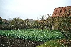 Herrengosserstedt Garten