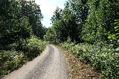 Herrenwald Stadtallendorf 2020 08 21 04
