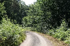 Herrenwald Stadtallendorf 2020 08 21 05
