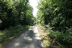 Herrenwald Stadtallendorf 2020 08 21 07