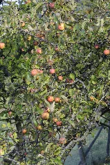 Hesselbach (Derhexer) 2012 09 28 3