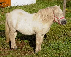 Hesselbach (Derhexer) 2012 09 28 4