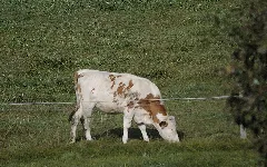 Hesselbach (Derhexer) 2012 09 29 03