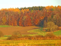 Heudorfer Ried Panoramio