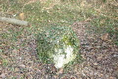 Hexenstein Kleinblittersdorf