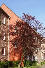 Hh Denickestr 50