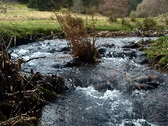 Hilsbach 2013 03 10 17 27 56