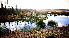 Himmelmoor Quickborn Eastern Part 03