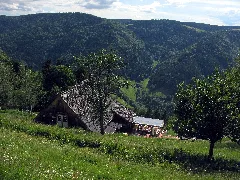 Hintereckhütte In Obersimonswald 4