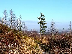 Hintertönsberg04