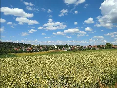 Hochemmingen