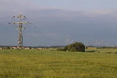Hochspannungsleitung Rheinau Hoheneck Bei Fürfeld12062021
