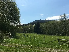 Hochtaunus