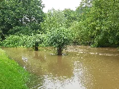 Hochwasser Berkel Gescher5