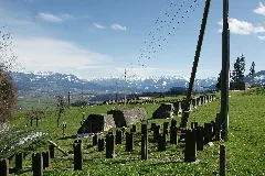 Höckerlinie Am Stoss
