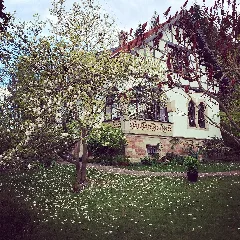 Hönigen