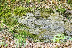 Höxter 2018 05 20 Hx 001 Buchenwälder Zwischen Ziegenberg Und Langer Berg (020)
