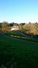 Hofgut Imsbach Mai 2016 0006